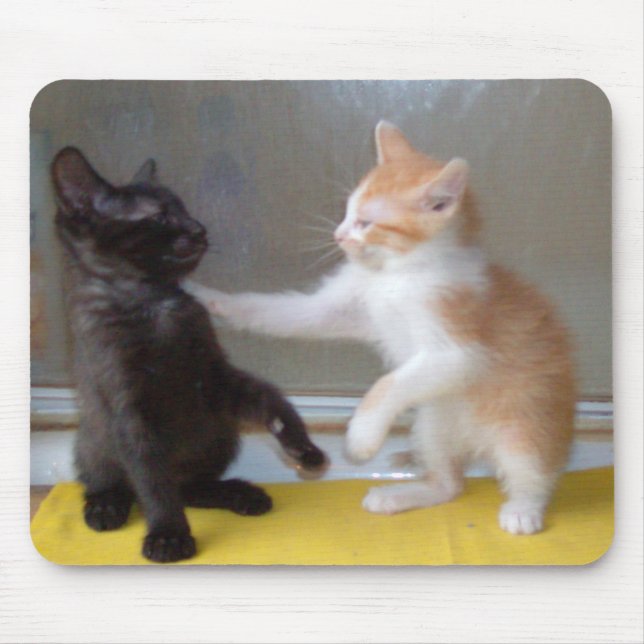 Alfombrilla De Ratón Gatos de vaca 34 Mousepad (Frente)