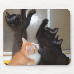 Alfombrilla De Ratón Gatos de vaca 36 Mousepad