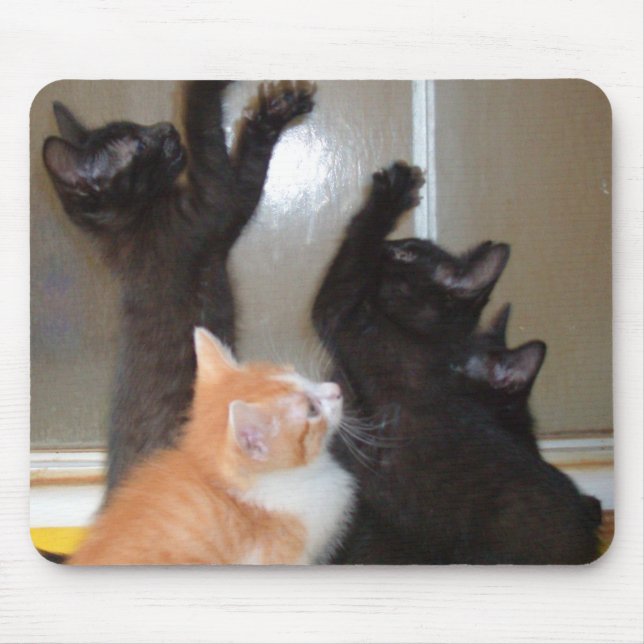 Alfombrilla De Ratón Gatos de vaca 36 Mousepad (Frente)