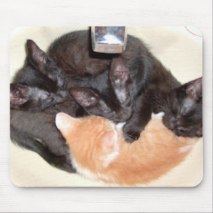 Alfombrilla De Ratón Gatos de vaca 37 Mousepad