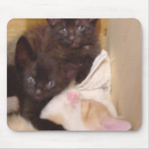 Alfombrilla De Ratón Gatos de vaca 38 Mousepad