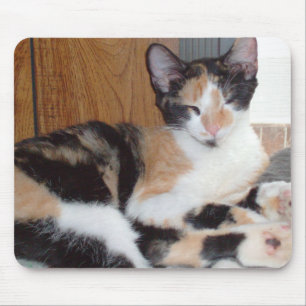 Alfombrilla De Ratón Gatos de vaca 39 Mousepad