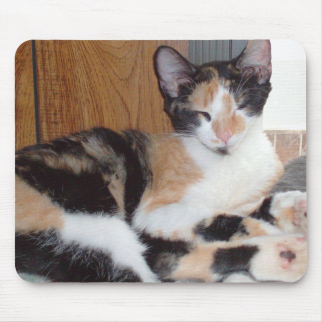 Alfombrilla De Ratón Gatos de vaca 39 Mousepad (Frente)