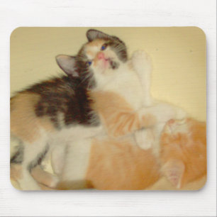 Alfombrilla De Ratón Gatos de vaca 5 Mousepad