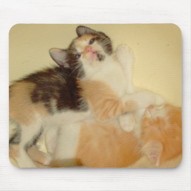 Alfombrilla De Ratón Gatos de vaca 5 Mousepad (Frente)
