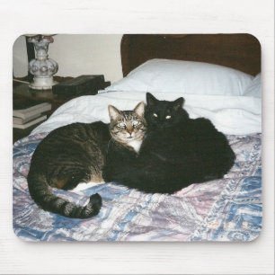 Alfombrilla De Ratón gatos en mousepad de la cama