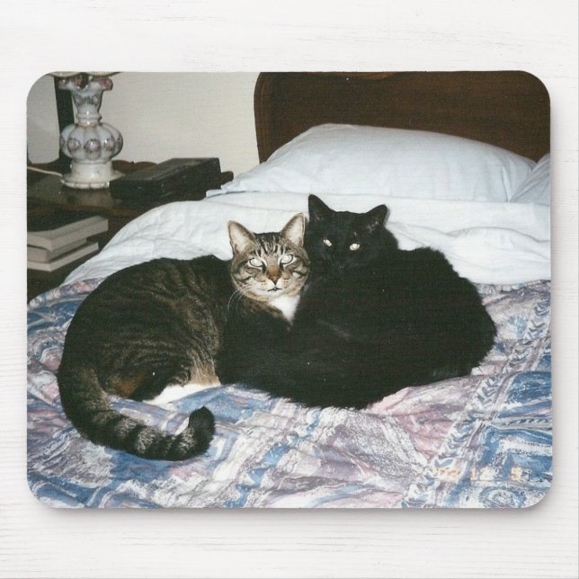 Alfombrilla De Ratón gatos en mousepad de la cama (Frente)
