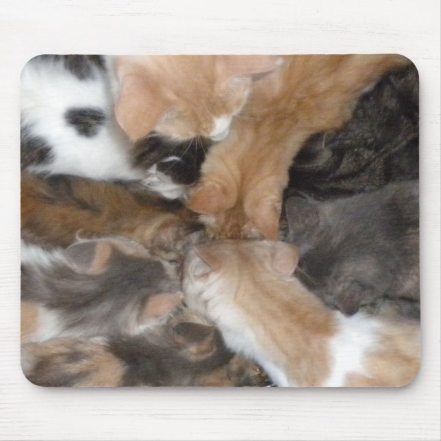 Alfombrilla De Ratón Gatos en un tabique (Frente)