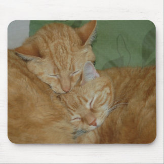 Alfombrilla De Ratón Gatos Mousepad el dormir