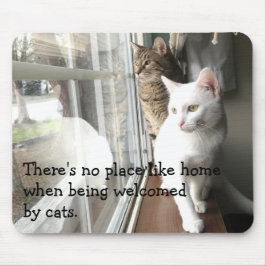 Alfombrilla De Ratón Gatos sentados cerca de la ventana