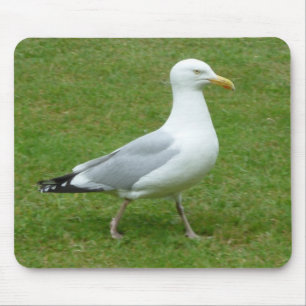 Alfombrilla De Ratón Gaviota caminando por el parque