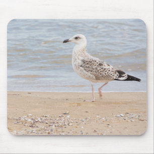 Alfombrilla De Ratón Gaviota caminante
