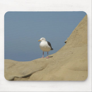 Alfombrilla De Ratón Gaviota, La Jolla, California