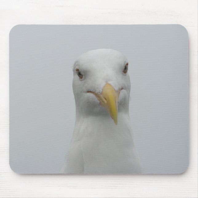 Alfombrilla De Ratón Gaviota Mousepad (Frente)