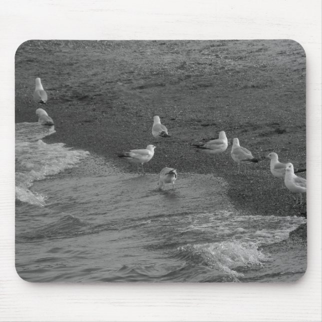 Alfombrilla De Ratón Gaviota Mousepad (Frente)