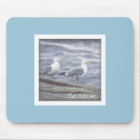 Gaviotas marinas