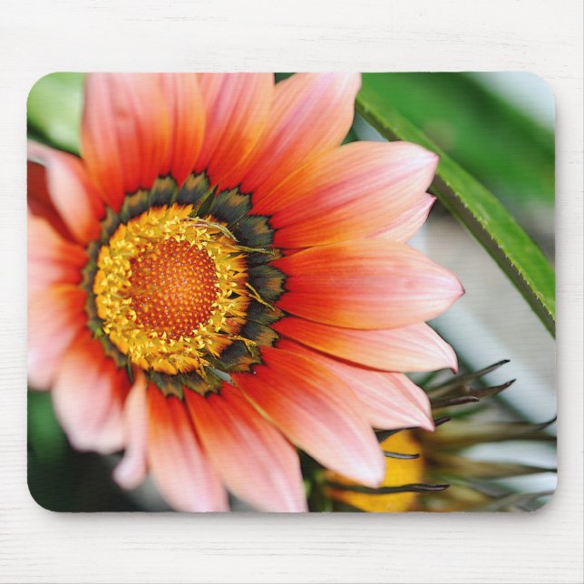 Alfombrilla De Ratón Gazania roja (Frente)