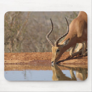 Alfombrilla De Ratón Gazelle