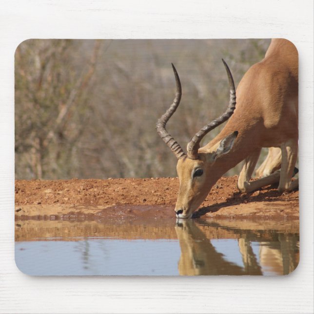 Alfombrilla De Ratón Gazelle (Frente)
