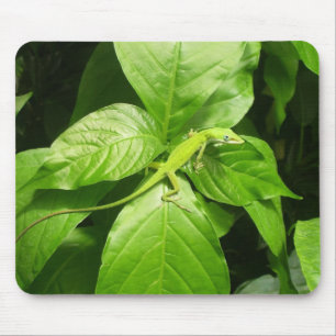 Alfombrilla De Ratón Gecko