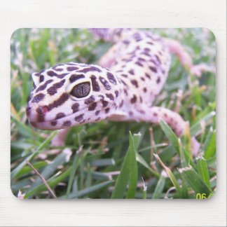 Alfombrilla De Ratón Gecko del leopardo