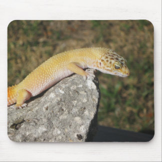 Alfombrilla De Ratón Gecko del leopardo de SHTCT