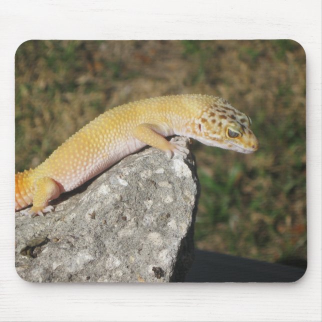 Alfombrilla De Ratón Gecko del leopardo de SHTCT (Frente)