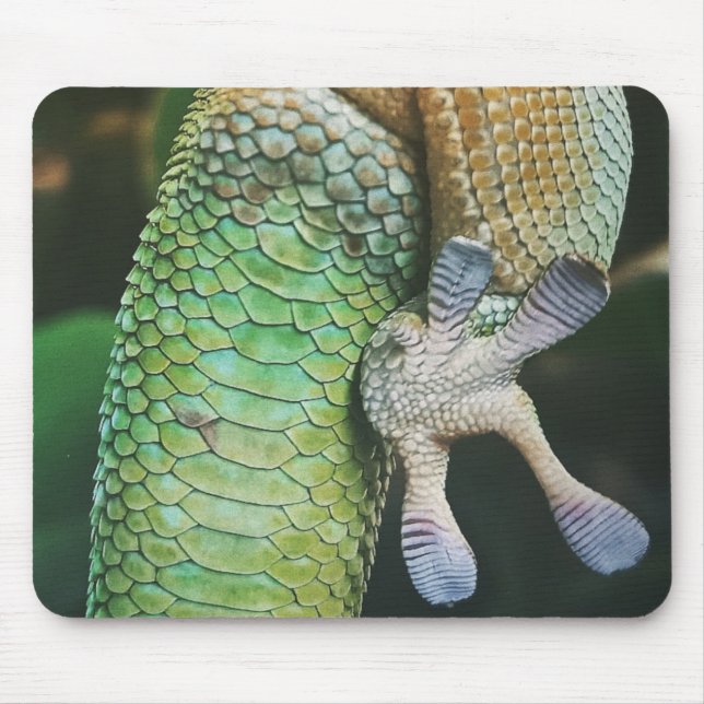 Alfombrilla De Ratón Gecko Feet (Frente)