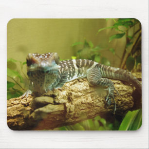 Alfombrilla De Ratón Gecko Mousepad