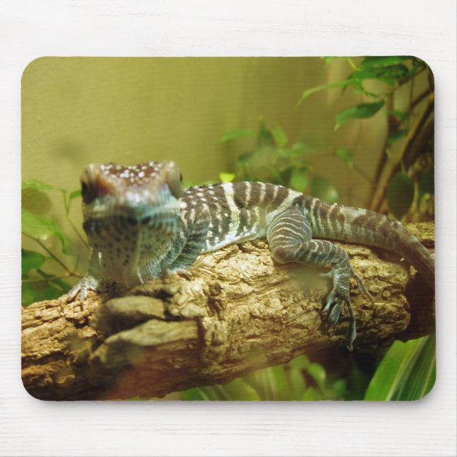 Alfombrilla De Ratón Gecko Mousepad (Frente)