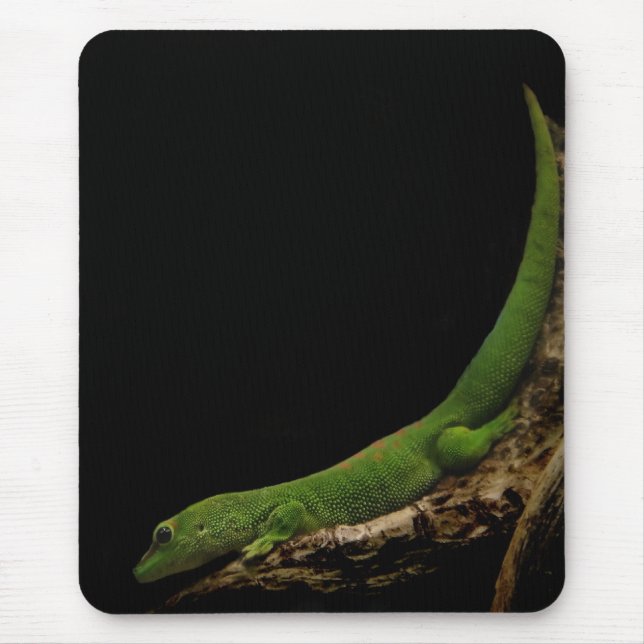 Alfombrilla De Ratón Gecko mousepad de Madagascar (Frente)