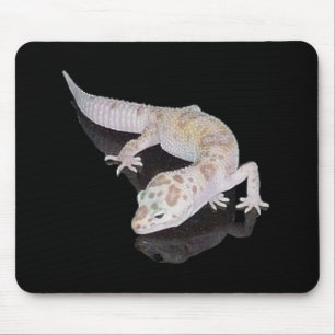 ALFOMBRILLA DE RATÓN GECKO MOUSEPAD DEL LEOPARDO DE ENIGMA DEL ALBINO