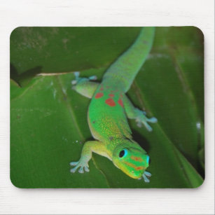 Alfombrilla De Ratón Gecko verde en Hawaii