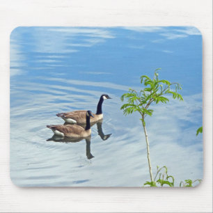 Alfombrilla De Ratón Geese disfrutando de un baño