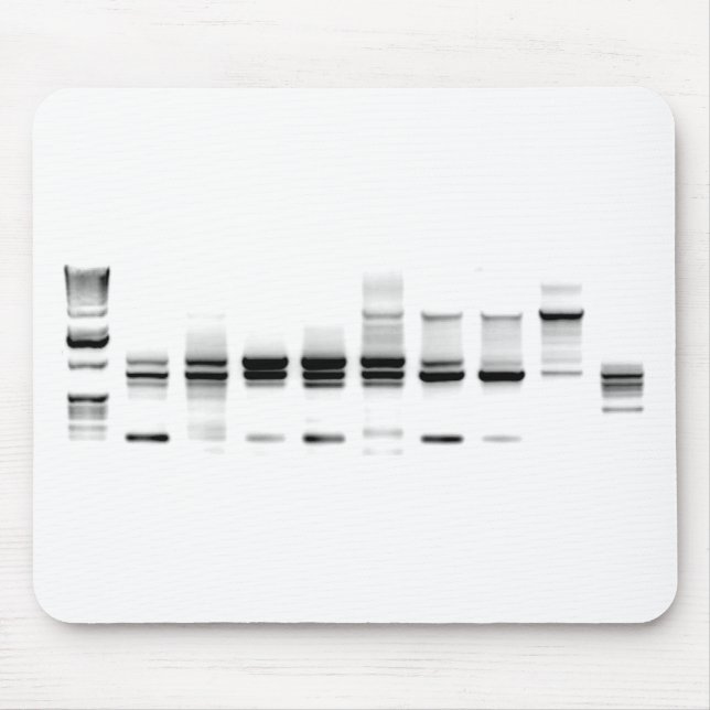 Alfombrilla De Ratón Gel de la DNA (Frente)