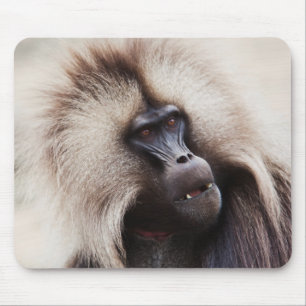 Alfombrilla De Ratón Gelada Baboon, Etiopía
