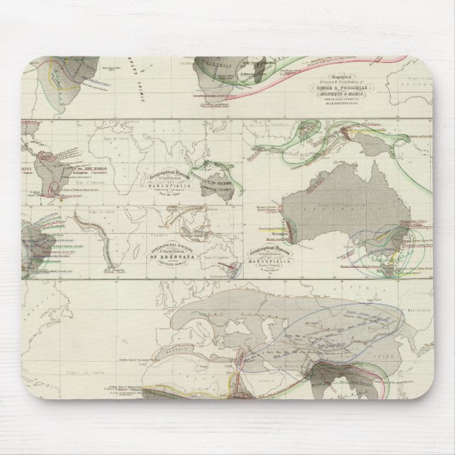Alfombrilla De Ratón Geografía zoológica (Frente)