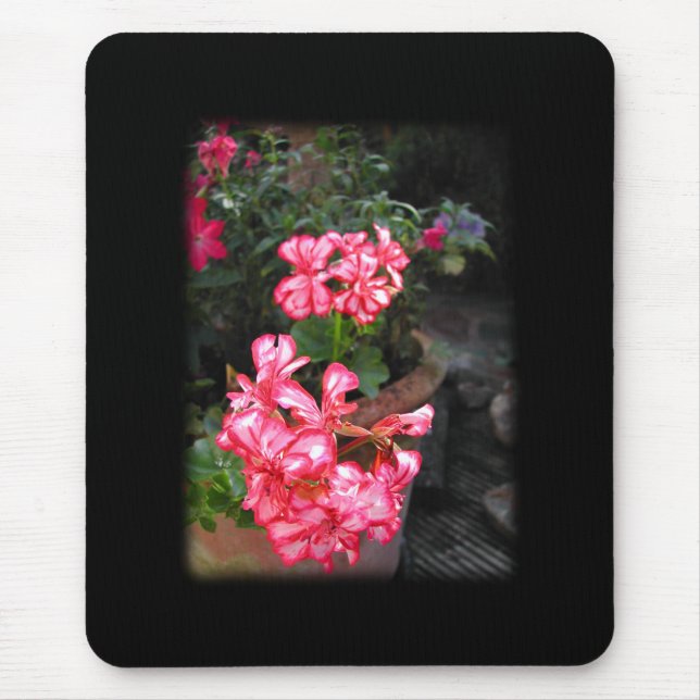 Alfombrilla De Ratón Geranios. Flores del Pelargonium (Frente)