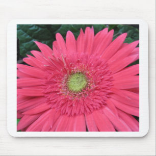 Alfombrilla De Ratón Gerbera Daisy