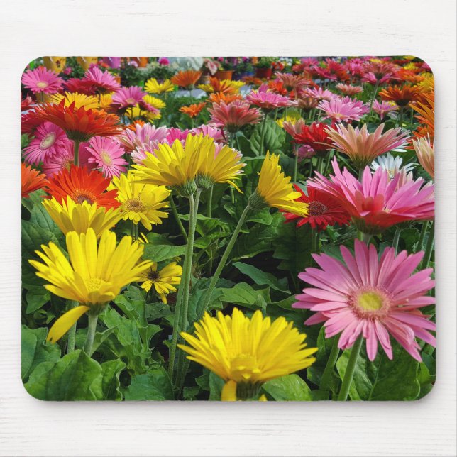Alfombrilla De Ratón Gerbera Daisy Garden (Frente)