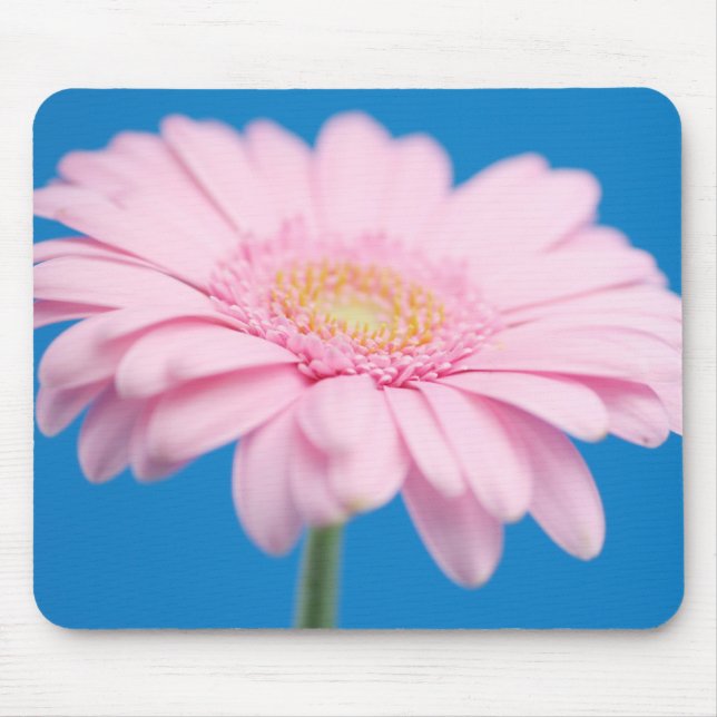 Alfombrilla De Ratón Gerbera Mousepad rosa (Frente)