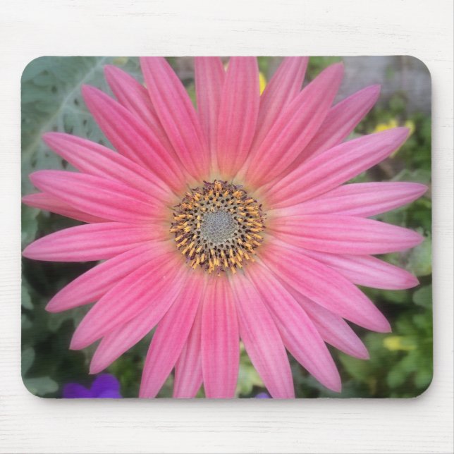 Alfombrilla De Ratón Gerbera rosa Daisy Flowers Mousepad (Frente)