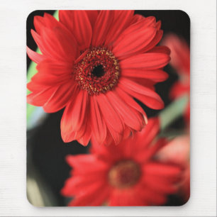 Alfombrilla De Ratón Gerberas