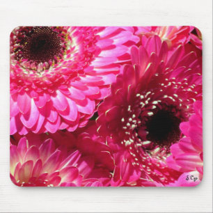 Alfombrilla De Ratón Gerberas rosados