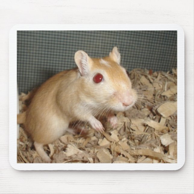 Alfombrilla De Ratón Gerbil lindo (Frente)