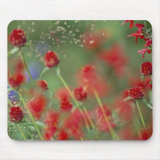 Alfombrilla De Ratón Ghomphera_zazzle de P2290C_strawberry (Frente)