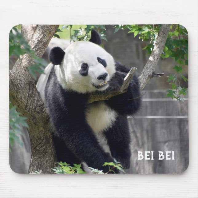 Alfombrilla De Ratón Giant Panda Bei Bei Mousepad (Frente)