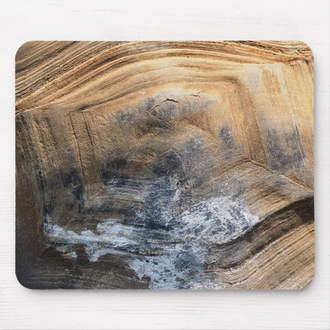 ALFOMBRILLA DE RATÓN GIANT TORTOISE SHELL (Frente)