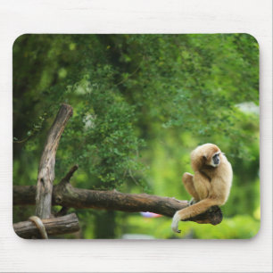 Alfombrilla De Ratón Gibbon con las manos blancas hermosas en un árbol