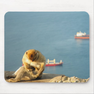 Alfombrilla De Ratón Gibraltar Barbary ape